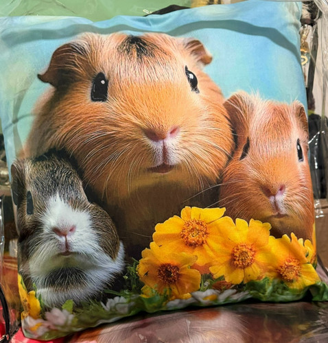New guinea pig throw pillow - pig,