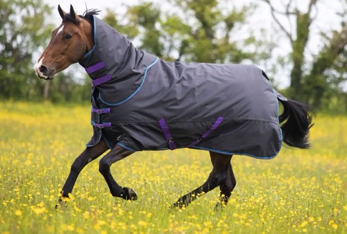 Shires tempest original - shires,
