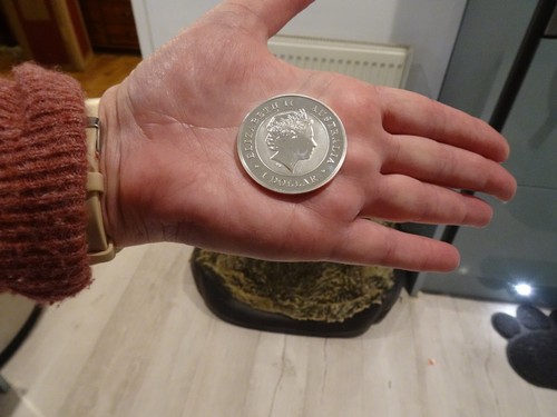 Australian koala 2020 silver - australian,