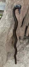Cobra Wooden Walking Cane