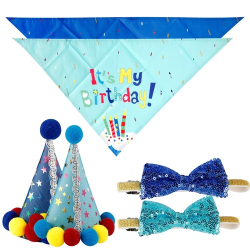 Dog birthday hat bandana set - birthday,