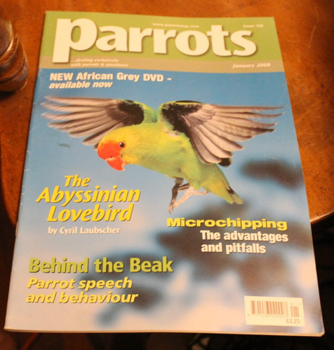Parrots 120 january - ~,