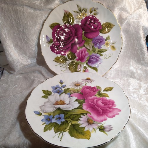 English plates edwardian - 2,