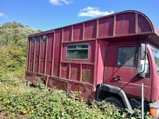 horse lorry out of mot but a really good starter and runner 