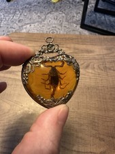 Vintage Scorpion Amber resin