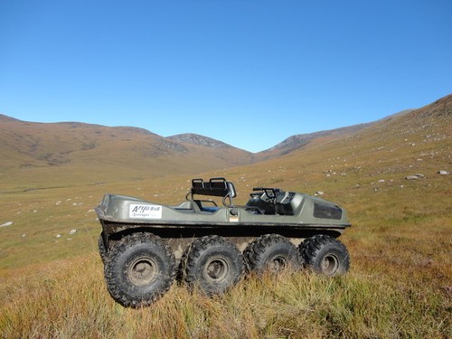 Photo argocat in glen - a3, an