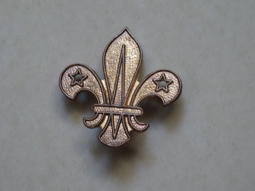 Scout beret metal - beret,
