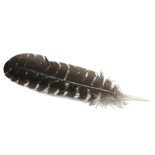 Barred imitation eagle feather - imitation,
