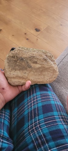 Volcanic ash from wales food - ash,