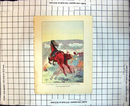 Old illustration black beauty - old,