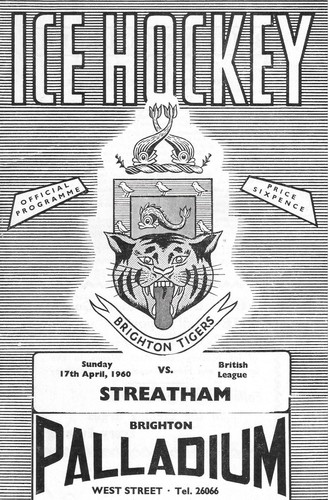 1960 brighton tigers - brighton,