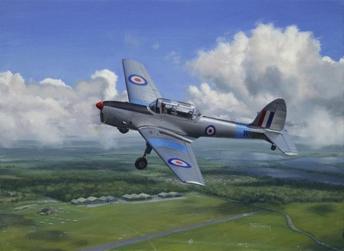 Havilland chipmunk aviation - de,