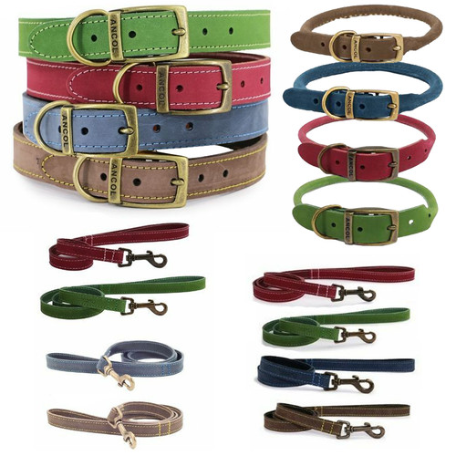 Ancol dog collar timberwolf - ancol,