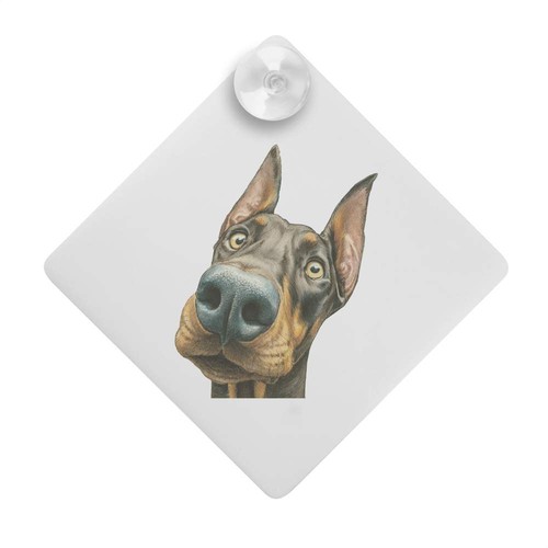 Doberman dog portrait car - dog,