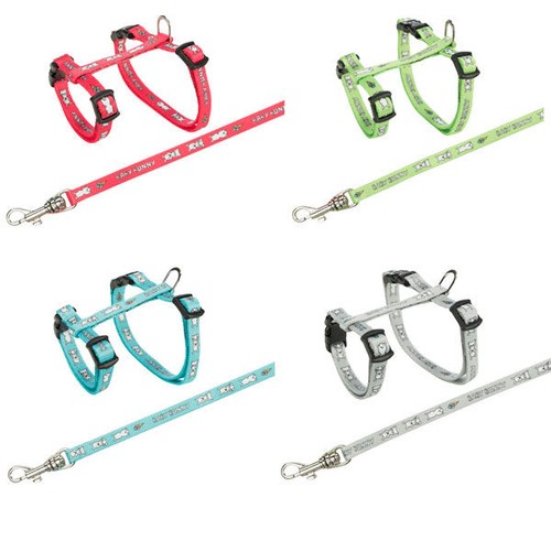Rabbit harness and - , lead