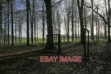 PHOTO  PHEASANT PENS IN THORNY DOWN WOOD THERE ARE EXTENSIVE FACILITIES FOR SHOO