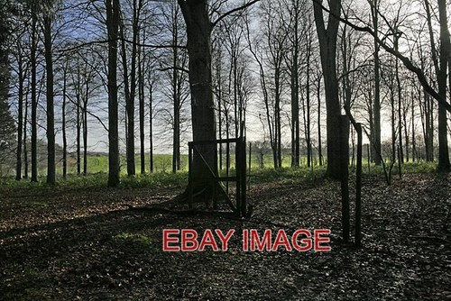 Photo pheasant pens - pheasant,