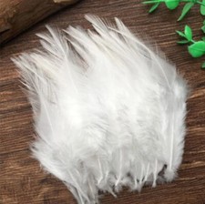 White Rooster Wing Feathers 10cm - 16cm Chicken Fly Craft Hat Arts Costume