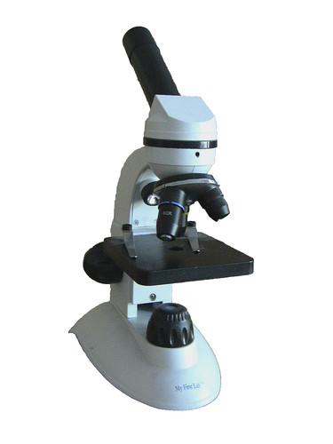 First lab duo - first, scope