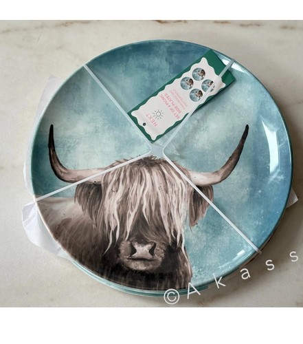Next set teal blue hamish - teal,