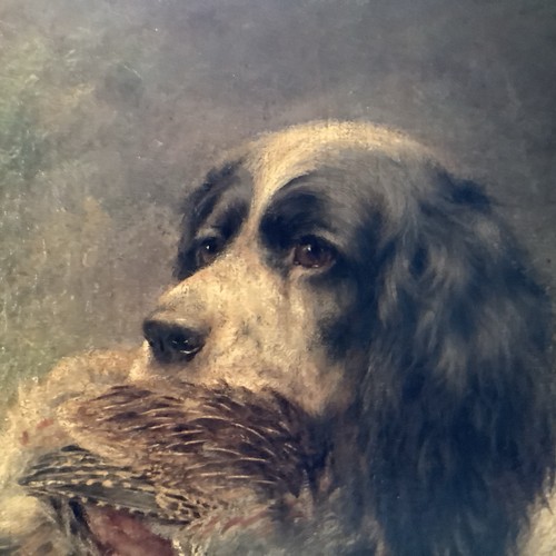 Spaniel with grouse - grouse,, dog