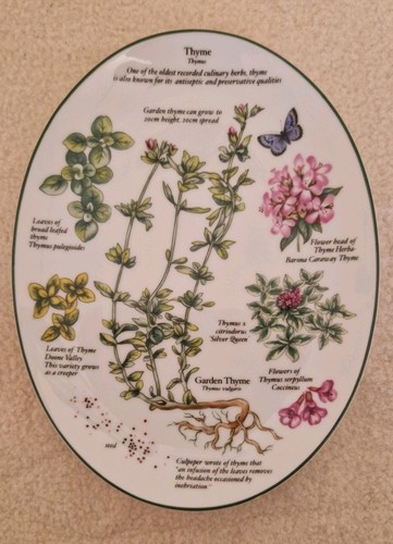 Royal worcester - worcester, "worcester