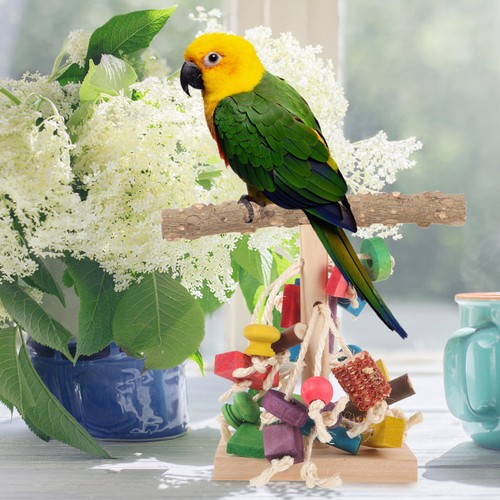 Parakeet perch stand - parakeet,