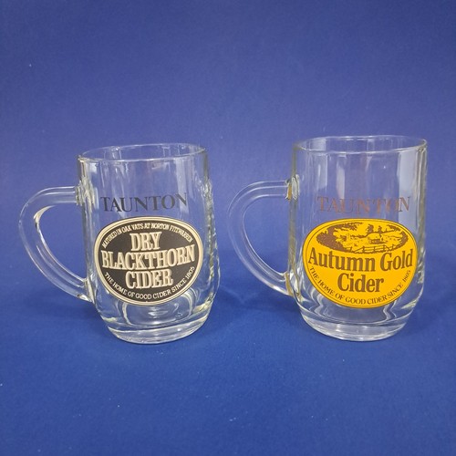 Taunton cider glass tankards - taunton,