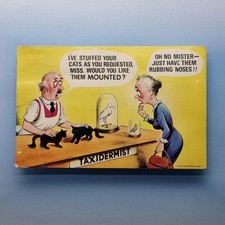 Comic Postcard Taxidermist Spinster Cats Mounted C1975 Bamforth & Co
