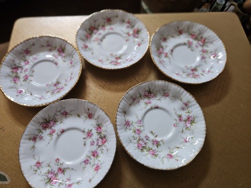 Paragon victoriana rose - paragon,