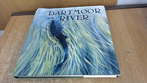 Dartmoor river armstrong - dartmoor, by