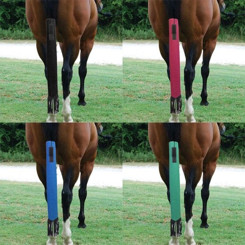 Horse tail storage - tail,