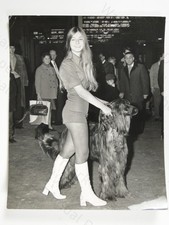 Young Woman Afghan Hound