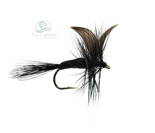 Black gnat dry flies winged - 3,