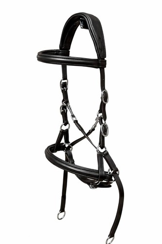 Horse padded comfort - horse,