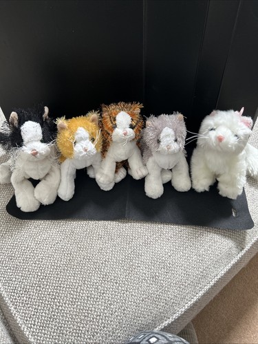 Ganz webkinz cats inc - 5,