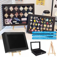 Pin Display Case Brooch