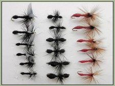 18 Pack Ants Dry Flies -