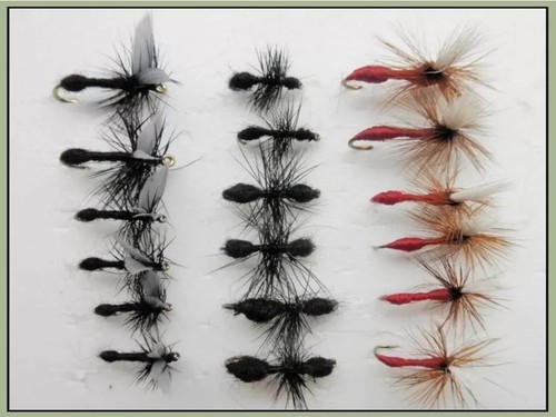 Pack ants dry - flies,