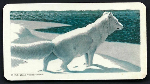Brooke bond animals - (canada),