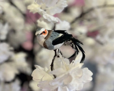 Artificial Feathered Grey