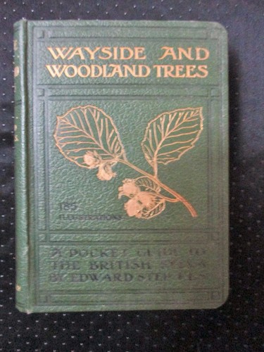 Wayside woodland trees - &,