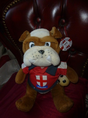 British english bulldog - british, plush