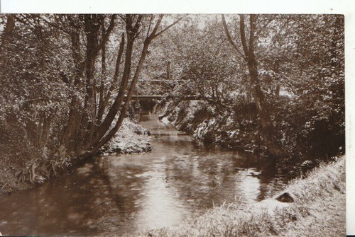 Sussex postcard old - -,