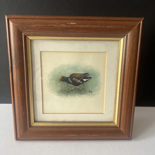 Vintage framed bird - vintage,