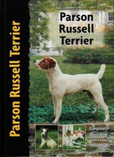 Parson russell terrier pet - terrier,