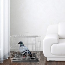  Pigeon Cage Pigeons Breeding