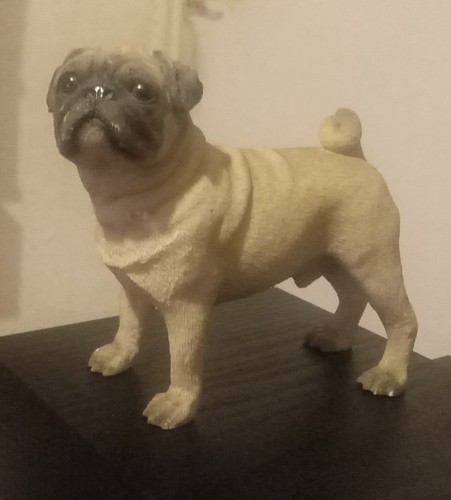 Leonardo collection pug - leonardo,