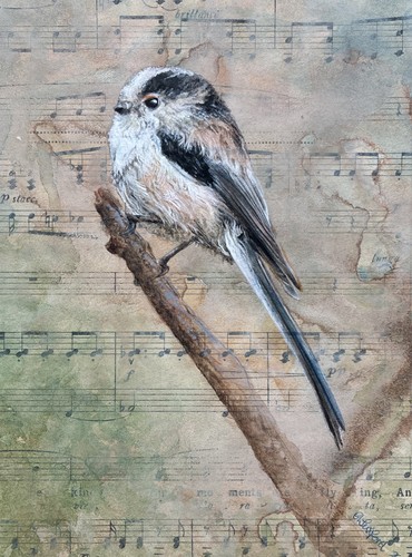 Bird watercolour painting - bird,