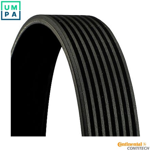 Vribbed belt 8pk1183 - belt,
